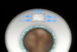 gl16_sm-1